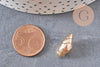 Pendentif coquillage laiton doré 18K 16.5mm, x2 (G3584)
