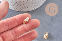 Pendentif coquillage laiton doré 18K 16.5mm, x2 (G3584)