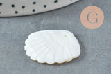 Pendentif coquillage nacre blanche naturelle 35mm, x2 (G9653)
