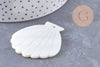 Pendentif coquillage nacre blanche naturelle 54mm, x2 (G10091)