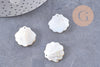 Pendentif coquillage nacre blanche naturelle irisée 21mm, x2 (G10224)