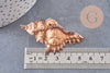 Pendentif coquillage naturel Conch doré, fourniture créative, pendentif doré, création bijoux, coquillage bijou,coquillage or,40-65mm-G1387