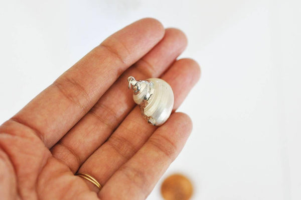 Pendentif coquillage naturel argenté 25mm, x1 (G0070)