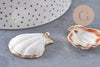 Pendentif coquillage naturel coque doré 32-42mm, x1 (G0096)