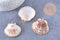 Pendentif coquillage naturel coque doré 40-51mm, x1 (G7163)