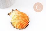 Pendentif coquillage naturel coque doré, pendentif doré, coquillage bijou,coquillage or,50mm x1 (G0933)