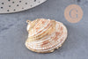 Pendentif coquillage naturel coque doré,pendentif doré, création bijoux, coquillage bijou,coquillage or,29-41mm, x 2 G5143