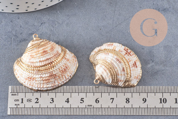 Pendentif coquillage naturel coque doré,pendentif doré, création bijoux, coquillage bijou,coquillage or,29-41mm, x 2 G5143