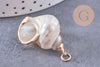Pendentif coquillage naturel fer doré 25-30mm, x1 (G10699)