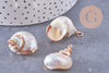 Pendentif coquillage naturel fer doré 25-30mm, x1 (G10699)