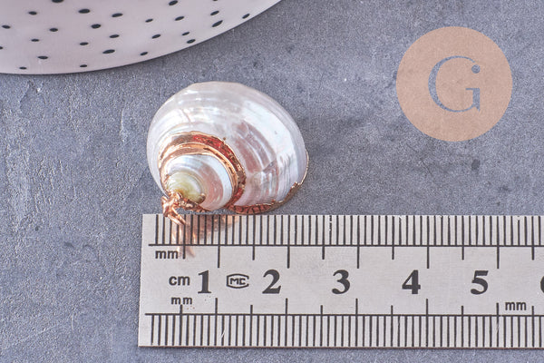 Pendentif coquillage naturel fer doré 25-30mm, x1 (G10699)