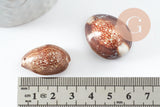 Pendentif coquillage naturel marron, coquillage porcelaine, pendentif coquillage, création coquillage bijou, x1 G0707