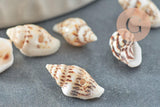 Pendentif coquillage naturel marron et blanc percé, x20 (G1981)