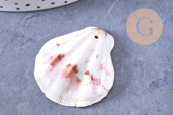 Pendentif coquillage naturel saint jacques 33-45mm, x5 (G2797)