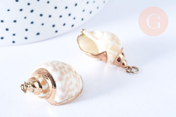 Pendentif coquillage naturel spirale doré 27-40mm, x1 (G7242)