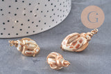 Pendentif coquillage naturel spirale doré, x1 (G2201)