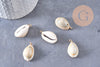 Pendentif coquillages cauri naturel beige fil doré torsadé 18K 24-32mm, x2 (G10319)