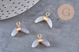 Pendentif corne jade gris naturel 21mm, croissant jade,pendentif pierre,jade naturel, x1 (G2799)