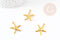 Pendentif étoile de mer laiton doré 23mm, pendentif marin pour creation bijoux, x5 G7044