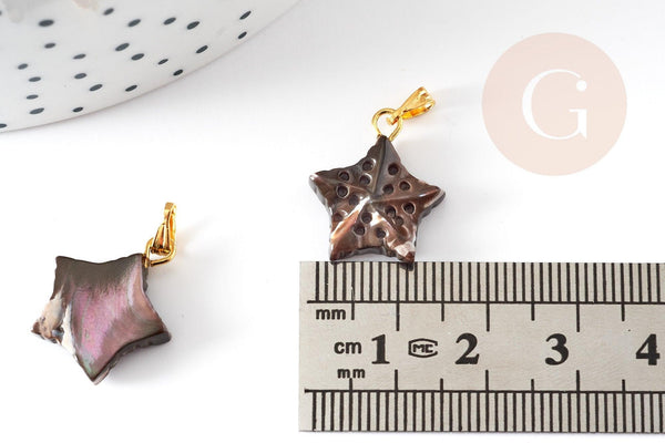 Pendentif étoile de mer noire nacre naturelle doré, coquillage noir, 18mm, x1 (G4366)