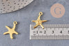 Pendentif étoile de mer zamac doré 22mm, x10 (G10545)