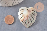 Pendentif feuille nacre naturelle monstera 47-48mm, x1 (G2624)