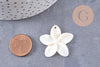 Pendentif fleur à pétales nacre blanche naturelle 31-34.5mm, x2 (G10226)