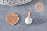 Pendentif goutte jaspe sésame doré, fournitures créatives, pendentif pierre,jaspe sésame naturel,17-19mm, x1 G3904