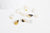 Pendentif goutte nacre naturelle 10mm,x 10 (G3876)