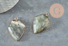 Pendentif hexagone labradorite, pendentif pierre,pendentif collier,pierre naturelle,pendentif labradorite Naturelle,30mm, x1 G2310