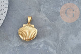 pendentif locket coquillage acier IP inoxydable doré 18K/platine 23.5mm,x1 (G4552)