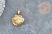 Colgante relicario concha acero IP inoxidable dorado 18K, 23.5mm,x1 (G4552)