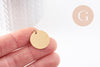 Pendentif médaille ronde acier IP 304 inoxydable doré/platine/ Or rose IP 20mm x1 (G10173)