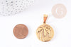 Pendentif médaille ronde palmier acier doré 25mm, x1 (G2752)