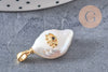 Pendentif perle naturelle Keshi oeil laiton doré 17-27mm x1 (G2028)