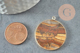 Pendentif rond oeil de tigre naturel laiton doré 32mm, x1 (G3082)