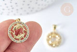 Pendentif rond signe astrologie poissons laiton doré zircons blancs 19mm, x1 (G7419)