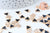 Pendentif triangle plein zamac doré émail noir 10mm,pendentif doré pour création de bijoux,x 5 G6106