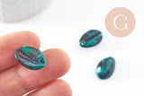 Pendentifs coquillage cauri vert marbré perle acrylique 19mm, x10 (G1228)