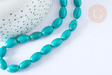 Perle Howlite ovale teintée turquoise foncé naturelle 12mm, x5 (G8743)