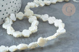 Perle Saint-Jacques nacre blanche naturelle 9,5~10mm, coquillage naturel, fil de 42cm, x1 (G7839)