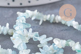 Perle chips aigue-marine naturelle 12mm, x1 fil de 80cm (G1324)
