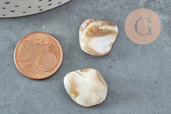 Perle coquillage naturel nacre nugget 18-22mm,x5 (G2650)