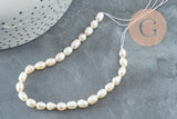 Perle naturelle blanche grain de riz 5-7mm grade A, x1 fil de 18cm (G6832)