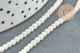 Perle ronde bambou de mer blanc,perle imitation corail fabrication bijoux en bambou de mer naturel, fil de 40cm ,3mm, x1 (G4153)
