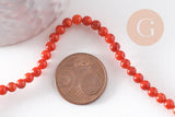 Perle ronde nacre naturelle teintée rouge 4mm, perles coquillage, x1 fil de 37.5cm (G9974)