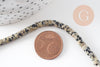 Perle rondelle heishi jaspe Dalmatien jaspe naturel 4.5mm,x1 fil de 38cm (G2773)