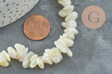 Perles chips coquillage nacre naturelle beige 8-14mm, x1 fil 90cm (G5742)