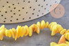 Perles chips de coquillage naturel jaune, 20mm,le fil 76cm, x1 (G8049)