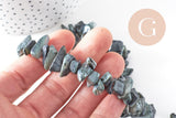 Perles chips de coquillage noir, coquillage naturel, 75 perles, fil de 40 cm, x1 (G1052)